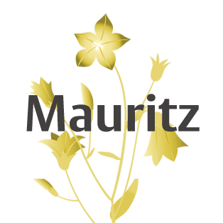 Friedhof Mauritz